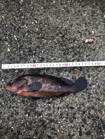 まさかの大物ゲスト