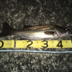 @テクトロ3Dダート