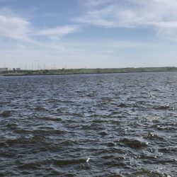 アベレージサイズ？