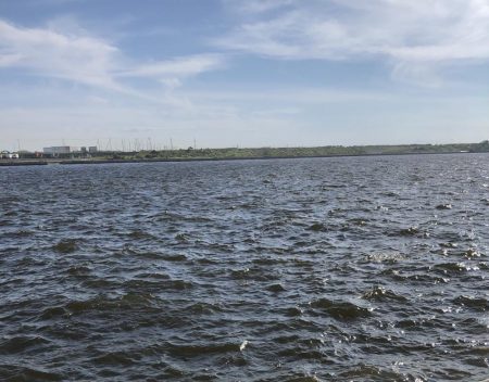 アベレージサイズ？