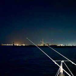 久々の夜釣り