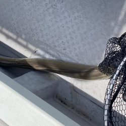 一つテンヤの珍客