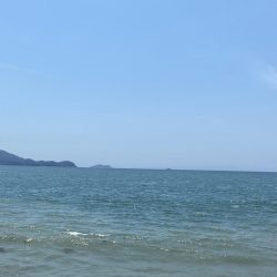 暑さにも負けず