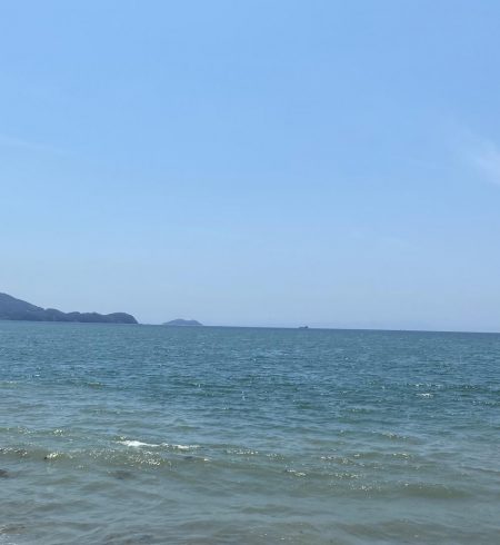 暑さにも負けず