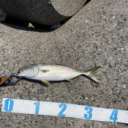 ショアジギング