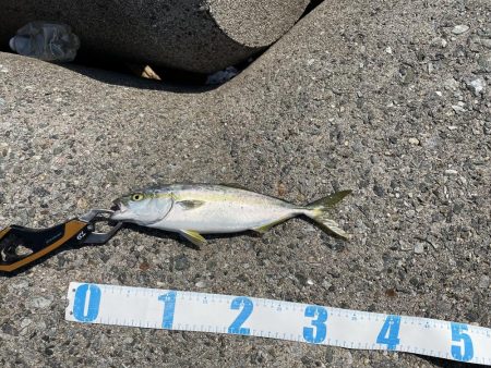 ショアジギング