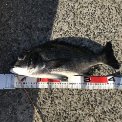 ビギナーズラック？