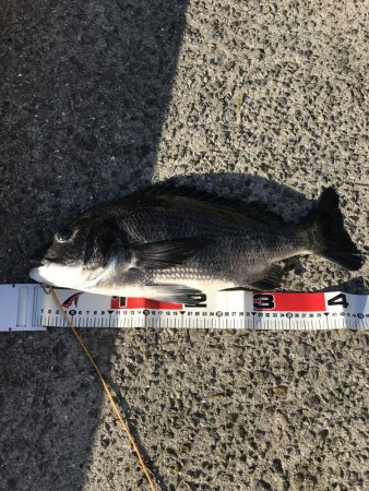 ビギナーズラック？