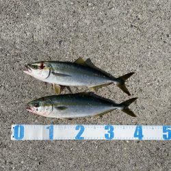 ショアジギング