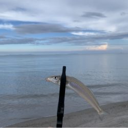 梅雨明け後の…