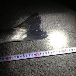 流れが効き出したら