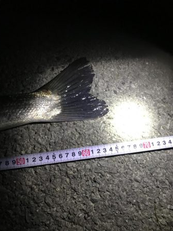 流れが効き出したら