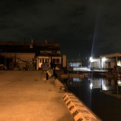 やったぜ!チーバス