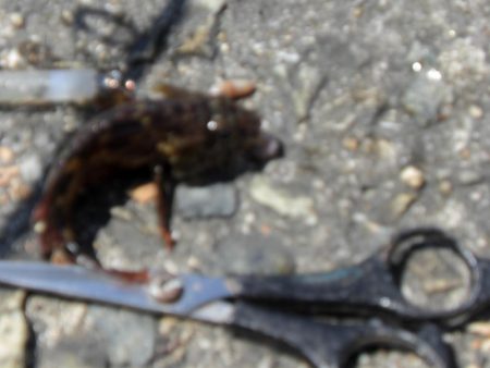 潮が動いてない