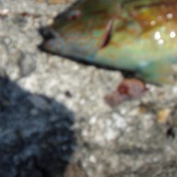 暑くてたまらん