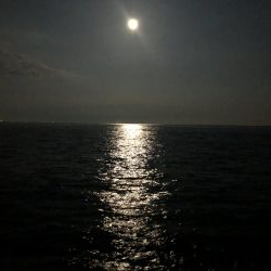 黒鯛を求めて…