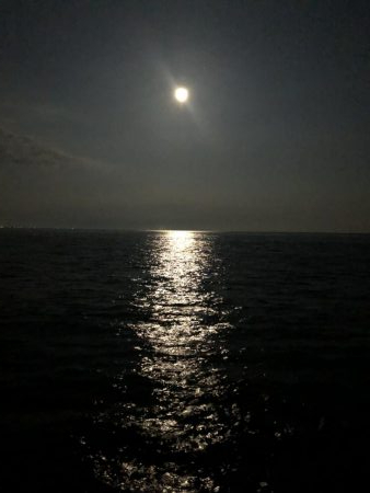 黒鯛を求めて…