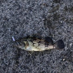 モーニングアジング