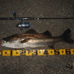 ブレイク周りでヒット