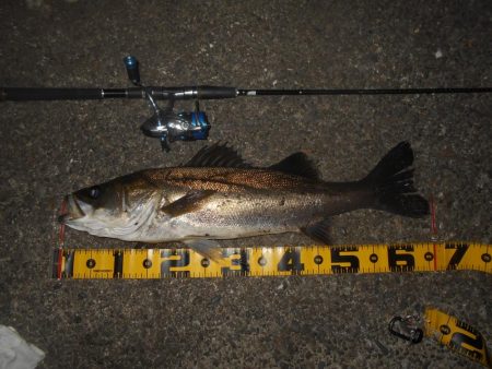 ブレイク周りでヒット