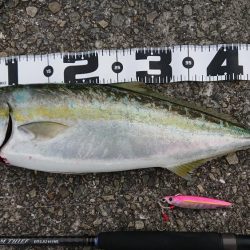 約9ヶ月ぶりに!