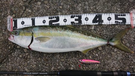 約９ヶ月ぶりに！