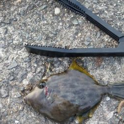 はじめてタモを使いました!