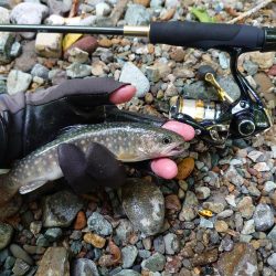 初めての渓流ルアー