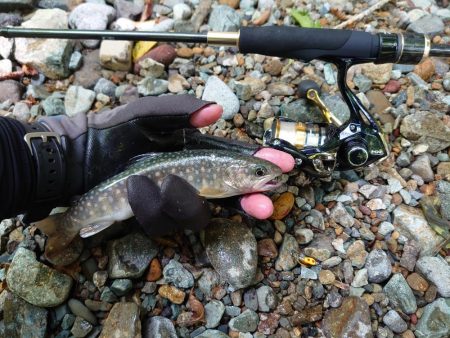 初めての渓流ルアー