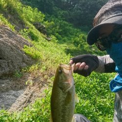 トップウォーター縛りで40UP！