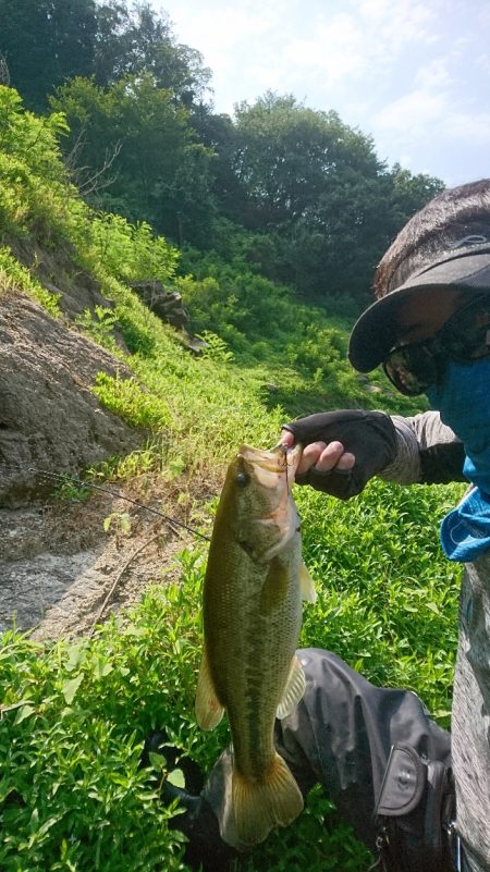 トップウォーター縛りで40UP！