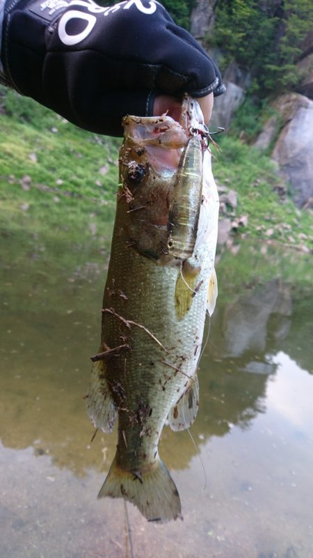 トップとボトム狙い