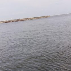 夕方にのんびりサビキ釣り