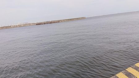 夕方にのんびりサビキ釣り