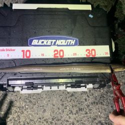 濁りは最高の…