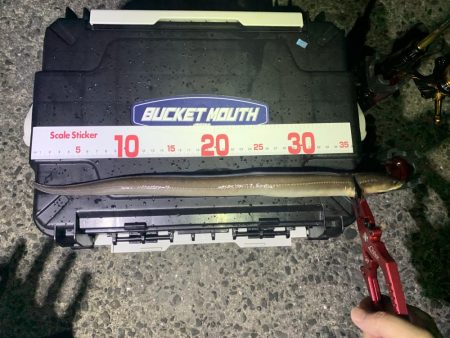 濁りは最高の…