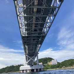 鳴門沖でマダイ