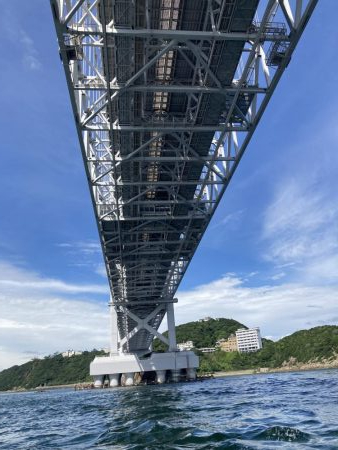 鳴門沖でマダイ