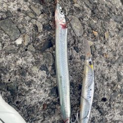 5目達成❗️  成らず、、