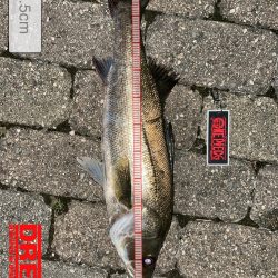 ゴールデンタイム✨