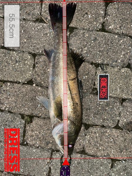 ゴールデンタイム✨