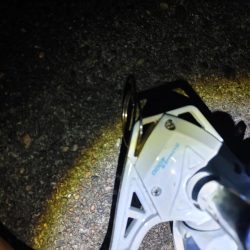 50cmのフッコでました　2回目