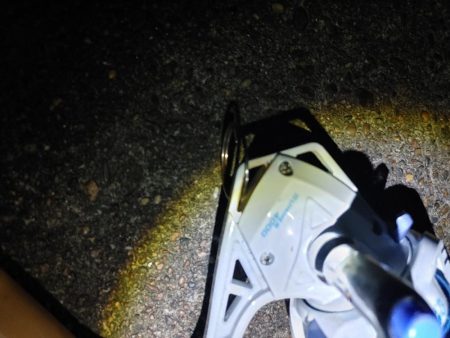 50cmのフッコでました　2回目