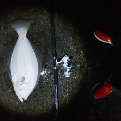 ヒラメ57cm  久しぶりの大物