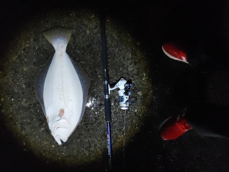 ヒラメ57cm  久しぶりの大物