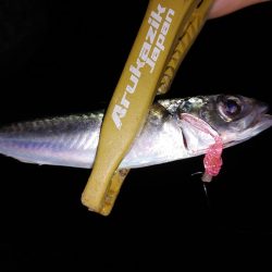 いろいろやったけど