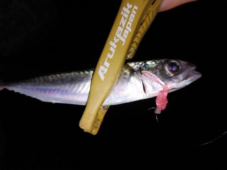 いろいろやったけど