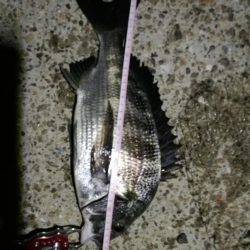 2021/06/30 南港ヘチ釣り