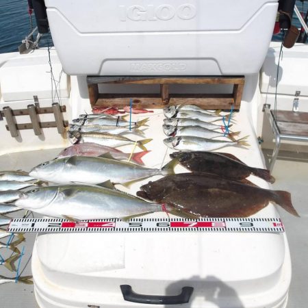 SOUTH(サウス)釣果