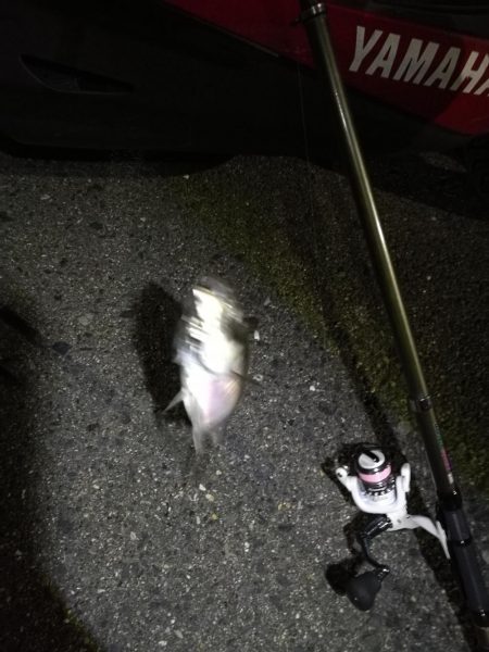 2021/07/05 南港アジング